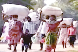 କୋରାପୁଟରେ ଦୁର୍ବଳ ଜୀବିକା ଦାବି ମାଇଗ୍ରେସନ୍