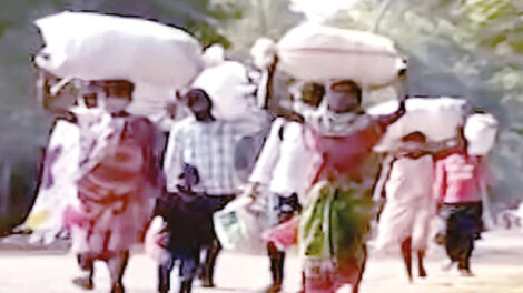 କୋରାପୁଟରେ ଦୁର୍ବଳ ଜୀବିକା ଦାବି ମାଇଗ୍ରେସନ୍