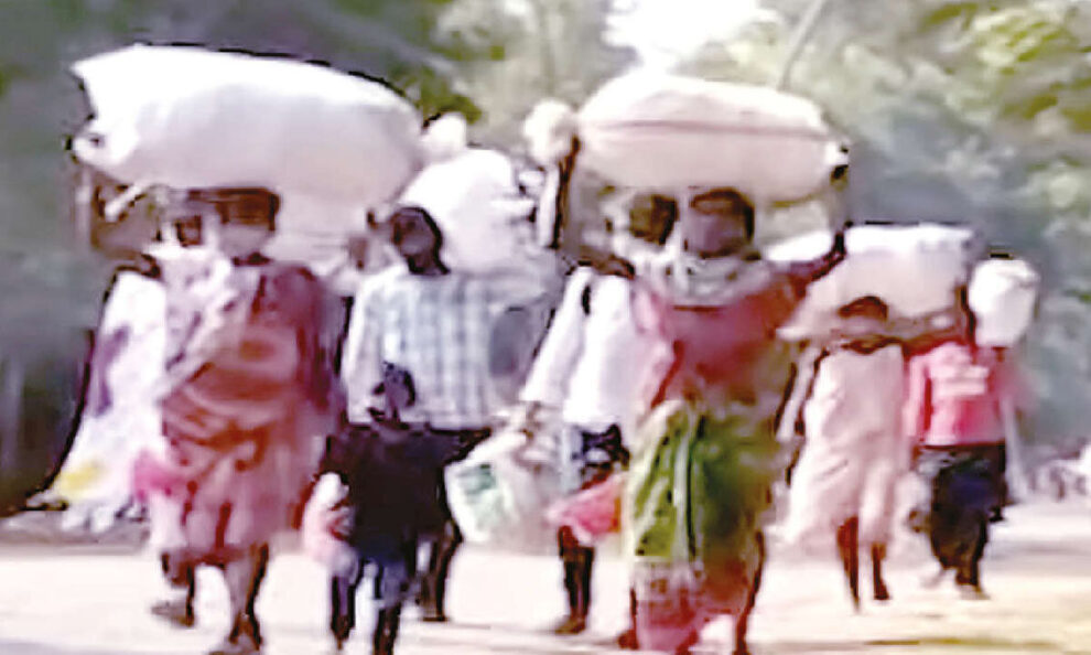 କୋରାପୁଟରେ ଦୁର୍ବଳ ଜୀବିକା ଦାବି ମାଇଗ୍ରେସନ୍