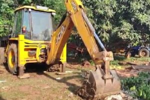 ହିନ୍ଦୋଳ ହାତୀ ଦାଫନ ମାମଲାରେ ବନ ଗାର୍ଡ ସସ୍ପେଣ୍ଡ