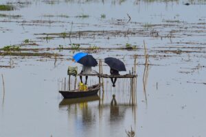 ମନ୍ସୁନ ଉତ୍ତରକୁ ଧକେଇଛି, IMD ପୂର୍ବ ଓ ଉତ୍ତର-ପୂର୍ବରେ ପ୍ରବଳ ବର୍ଷାର ସତର୍କତା ଜାରି କରିଛି