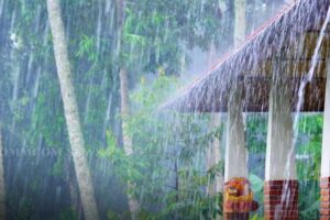 ରଥ ଯାତ୍ରା ବେଳେ ଓଡିଶାରେ ବର୍ଷାର ସମ୍ଭାବନା; ବଙ୍ଗୋପସାଗରରେ ନିମ୍ନ ଚାପ ପ୍ରଣାଳୀ ଆସିବାକୁ ଥାଏ