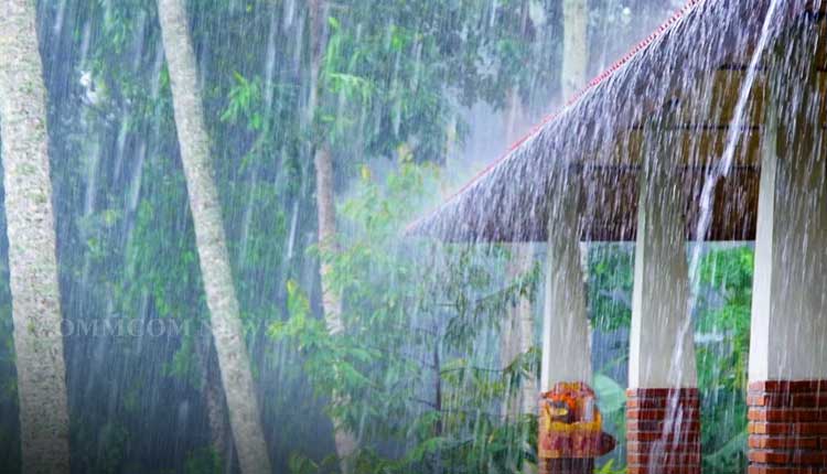 ରଥ ଯାତ୍ରା ବେଳେ ଓଡିଶାରେ ବର୍ଷାର ସମ୍ଭାବନା; ବଙ୍ଗୋପସାଗରରେ ନିମ୍ନ ଚାପ ପ୍ରଣାଳୀ ଆସିବାକୁ ଥାଏ