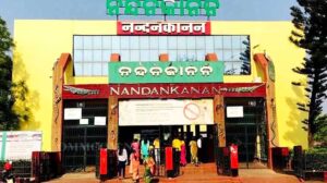ନନ୍ଦନ୍କାନନ ଜୁୟରେ ଆସୁଛି ରାତ୍ରୀ କଙ୍ଗାରୁ ସହିତ ଅନ୍ୟାନ୍ୟ ବିଶିଷ୍ଟ ପ୍ରାଣୀ