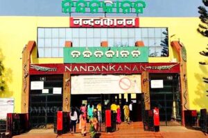 ନନ୍ଦନ୍କାନନ ଜୁୟରେ ଆସୁଛି ରାତ୍ରୀ କଙ୍ଗାରୁ ସହିତ ଅନ୍ୟାନ୍ୟ ବିଶିଷ୍ଟ ପ୍ରାଣୀ